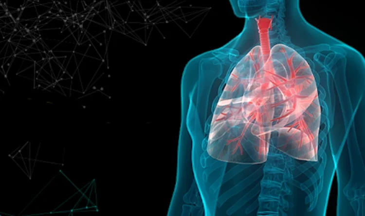 Interstitial Pulmonary Fibrosis