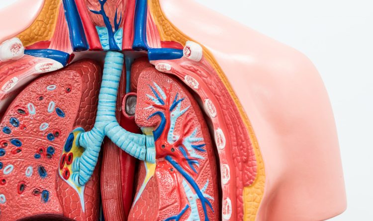 Pulmonary Rehabilitation